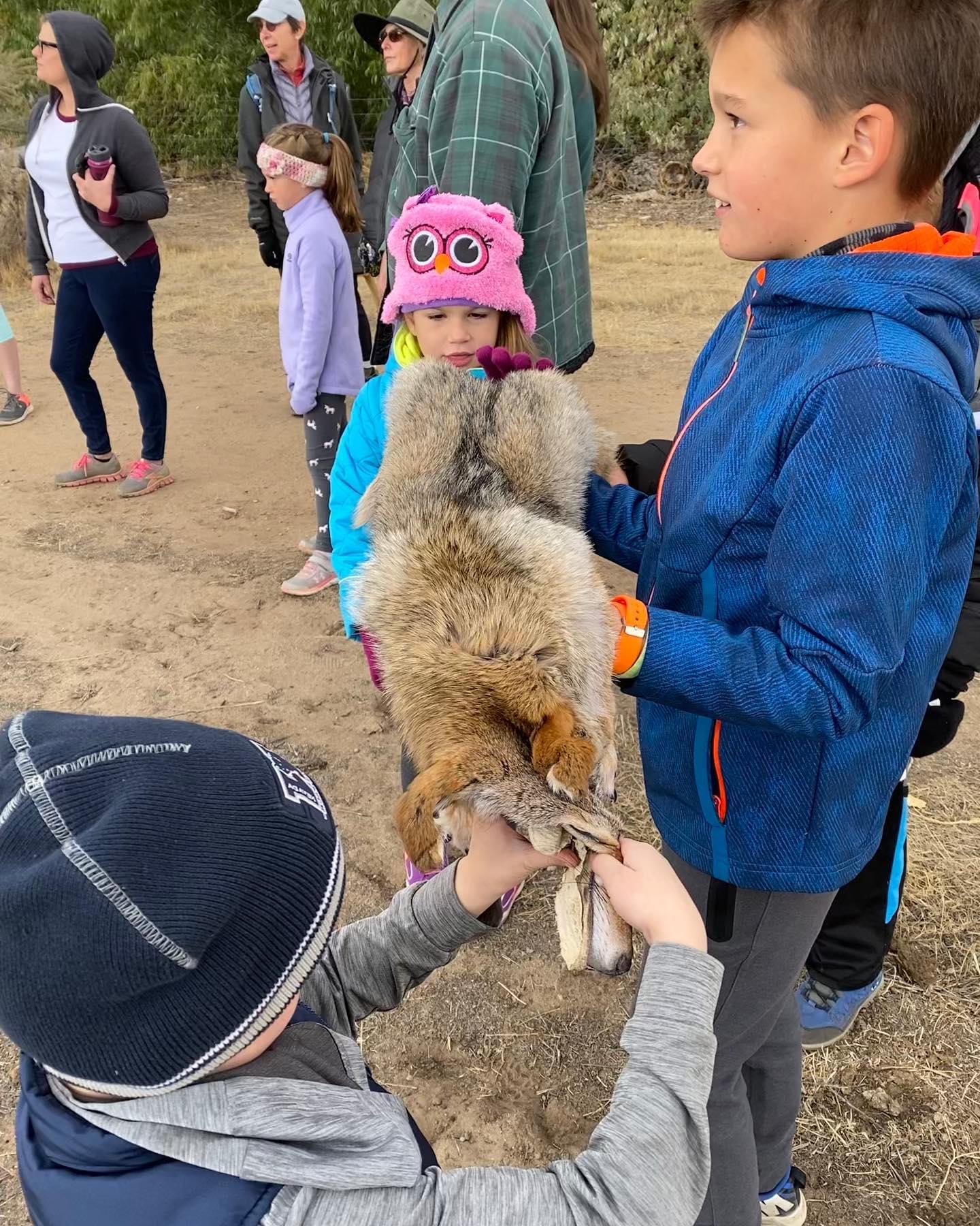 在2019年秋季色彩远足活动中，小男孩拿着郊狼的皮毛